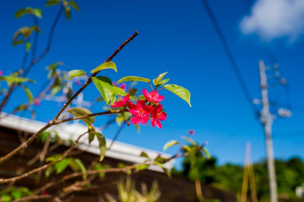 United Resort Yomitan Okinawa Eksteriør billede